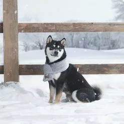 Koolaburra By UGG Cooper Sherpa Pet Scarf -Koolaburra by UGG shop unnamed file 1424